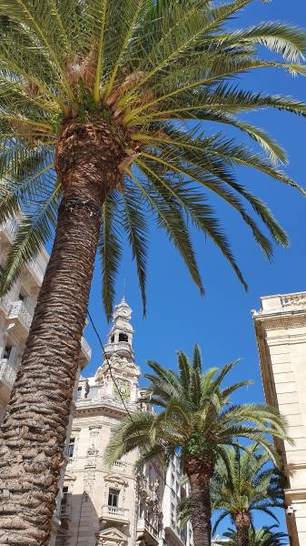 Cours collectifs de sophrologie à Toulon dans le Centre ville Groupe Liberté